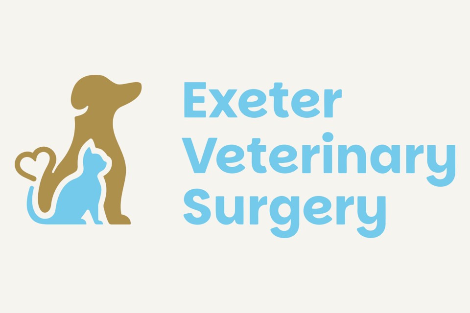 Exeter Veterinary Surgery