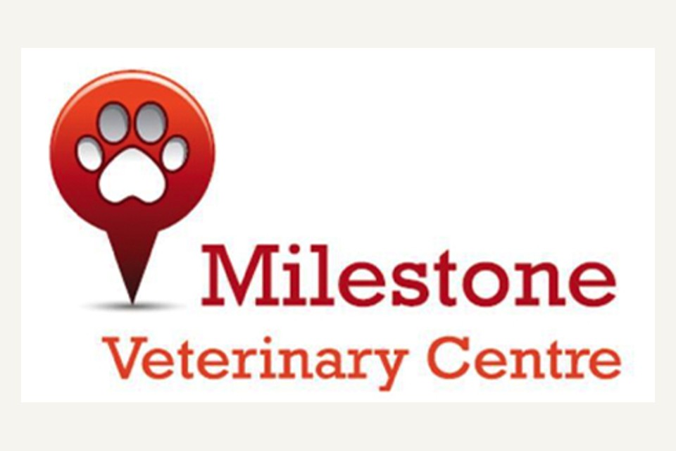 Milestone Veterinary Centre Kenton